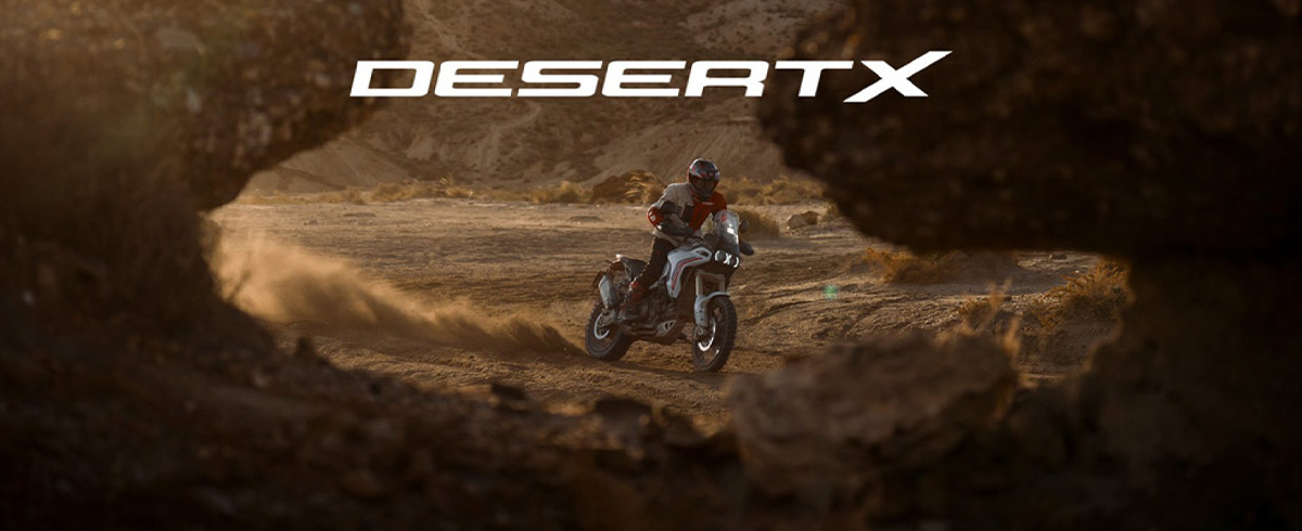 DesertX