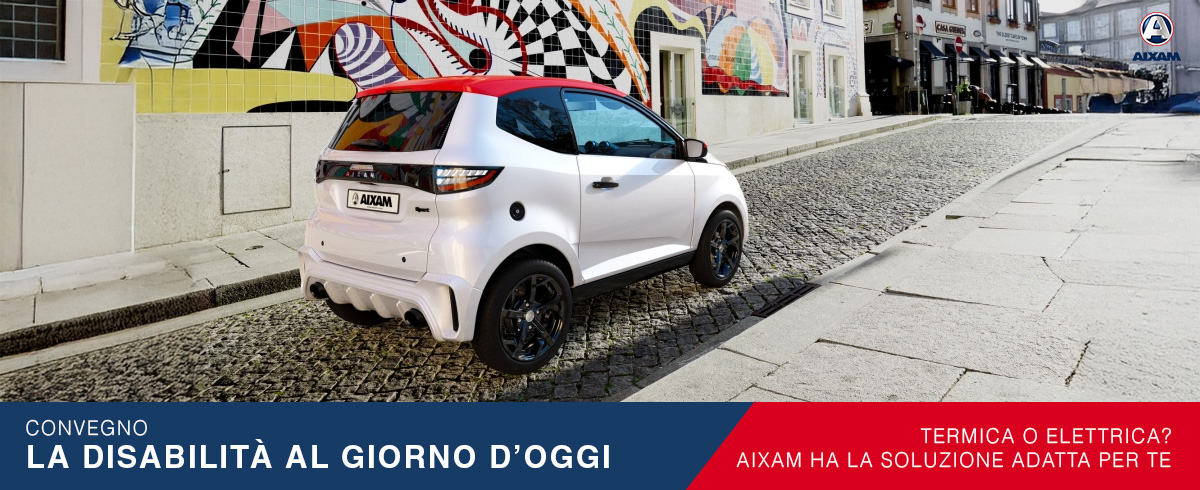 Scarabel a fianco dell'Associazione "insieme si può fare di più". Convegno: “La disabilità al giorno d’oggi”