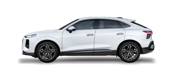 Q3 Sportback Business Advanced TDI 110 kW S tronic